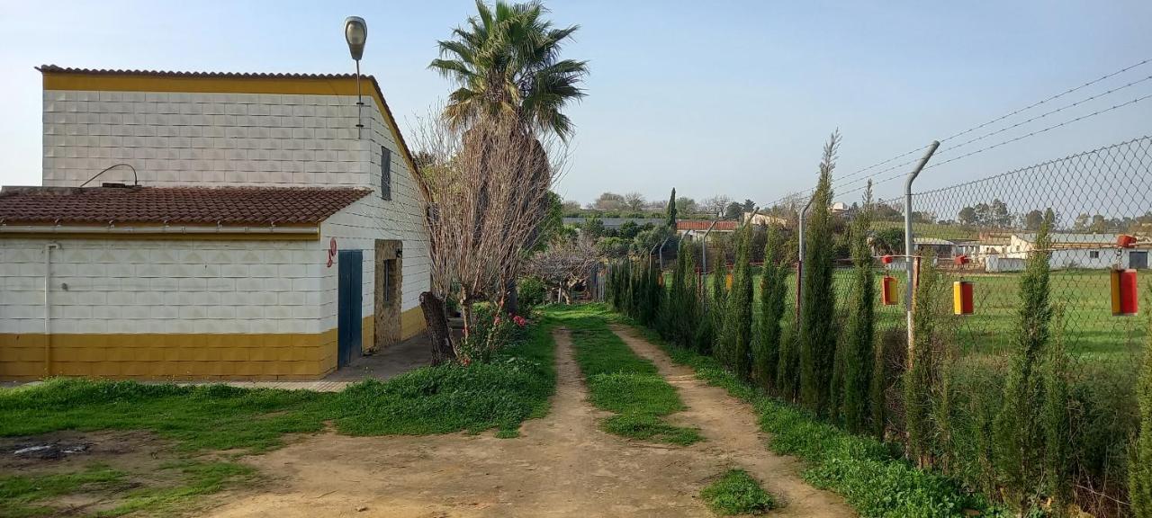 Huerta El Genoves Villa Carmona  Exteriör bild