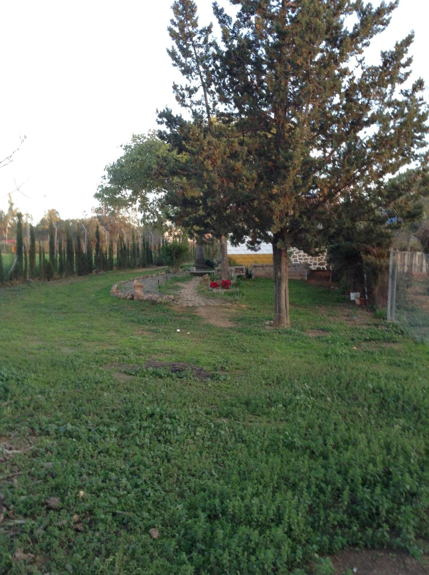 Huerta El Genoves Villa Carmona  Exteriör bild