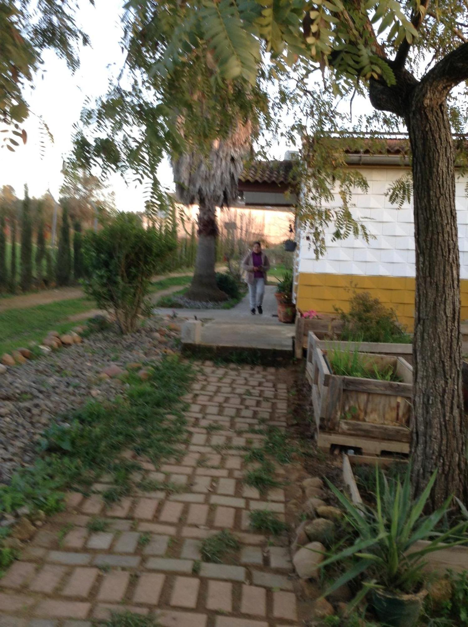 Huerta El Genoves Villa Carmona  Exteriör bild