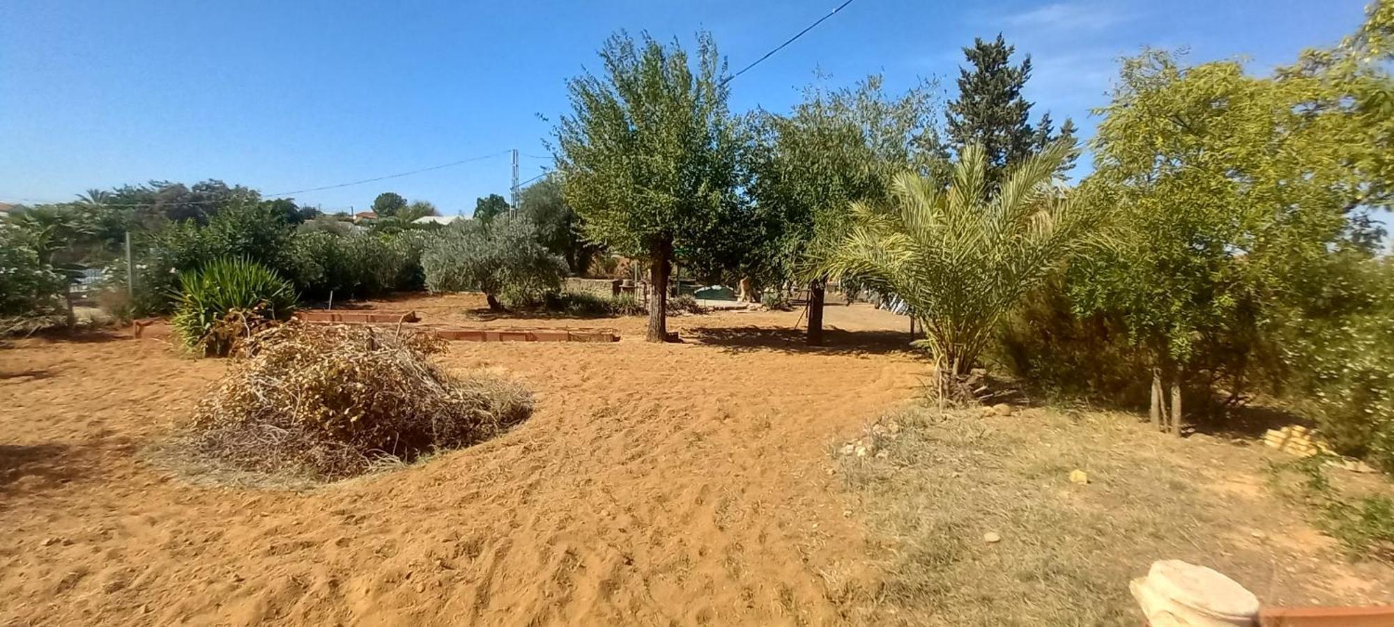 Huerta El Genoves Villa Carmona  Exteriör bild